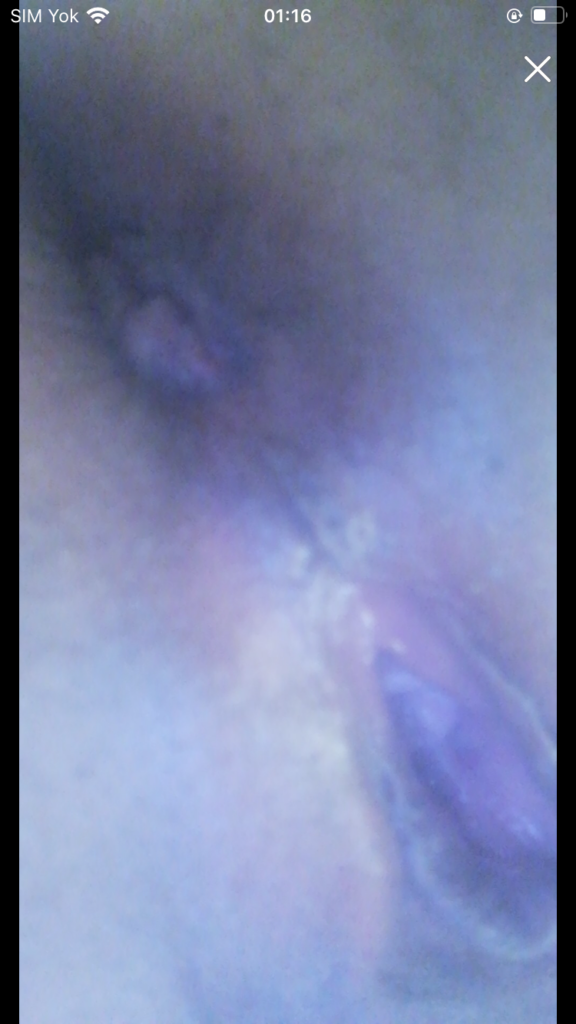 C2-Ebru-ifsa-videolu-2