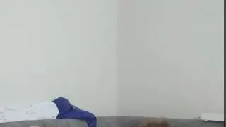 Genç sikicisi amcığını yalıyor olgunun