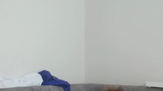 Am Yalama Porno Kleo zevkle amcığını yalattı